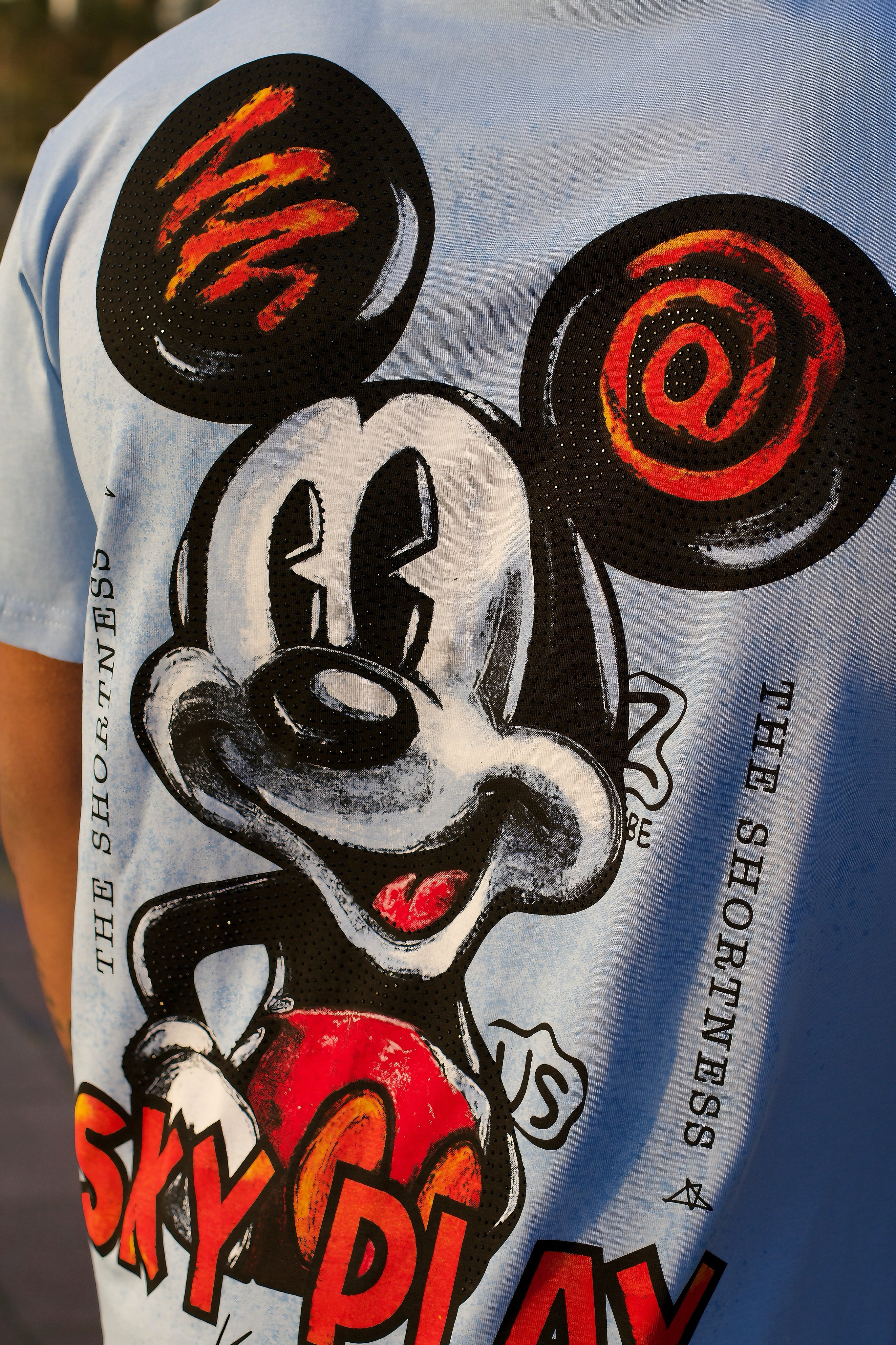 THE ICON LOONEY T-SHIRT - Image 5